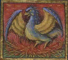 20060303103208-fenix.jpg