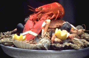 20060515182707-marisco-n1.jpg
