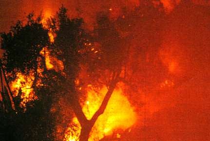 20060810220215-incendio.jpg