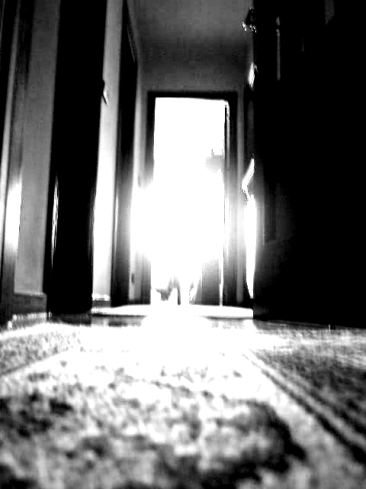 20061201093855-31-5-05.jpg