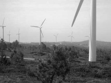 20070410093025-pedrada.jpg