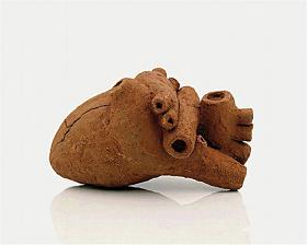 20070410093543-pulsaciones-detalle-corazon-tierra.jpg