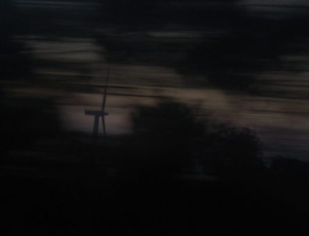 20070416094534-paxareiras.jpg