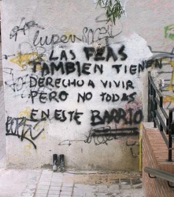 20070523031735-pintada.jpg