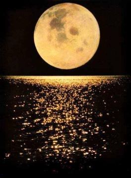 20070611094633-lua-201111111.jpg