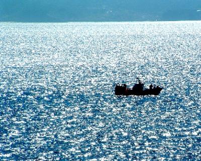 20080115175301-mar.jpg