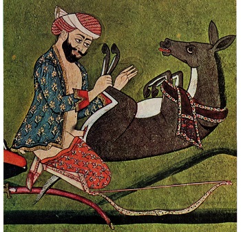 20080123200454-donkey.jpg