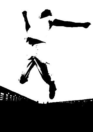 20080129084020-salto.jpg