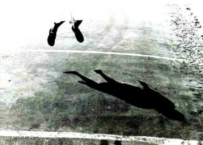 20080708102142-asco.jpg
