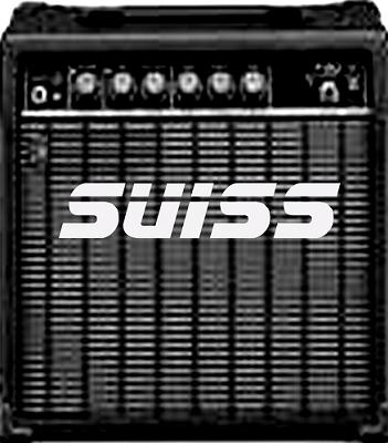 20080827105219-20070116143017-suiss.jpg