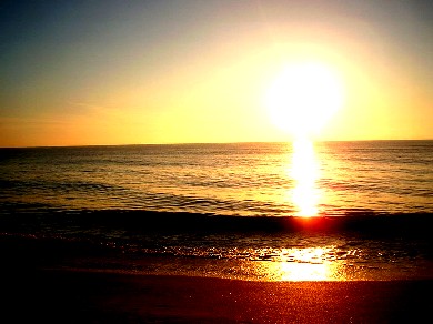 20090216155521-sol.jpg