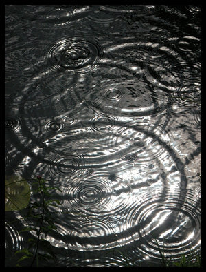 20090524153347-rain.jpg