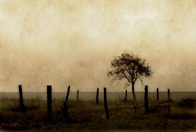 20090529180854-solitude.jpg