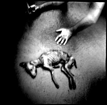 20090615000445-can-morto.jpg