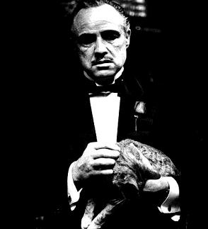 20090717211320-padrino.jpg
