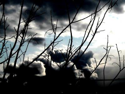 20090813174520-inverno.jpg