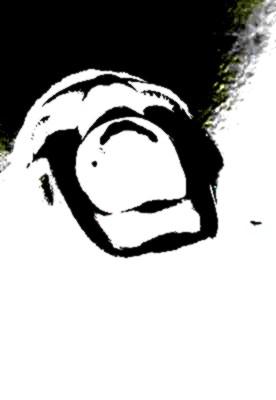 20090827201004-berro.jpg