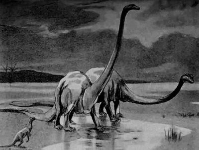 20090910151944-diplodocus.jpg