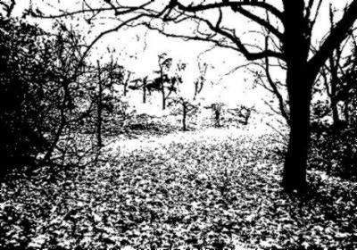 20090922193425-outono.jpg