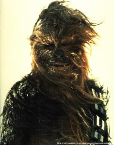 Chewbacca.jpg