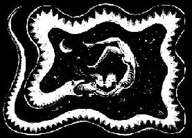 Cosmic-Kiss.JPG