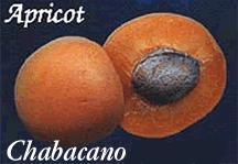 chabacano.JPG
