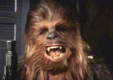 cheewbacca.jpg